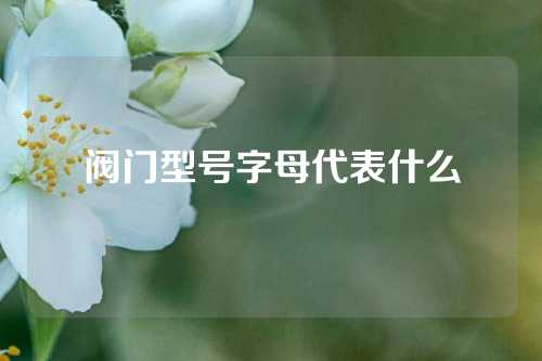 阀门型号字母代表什么