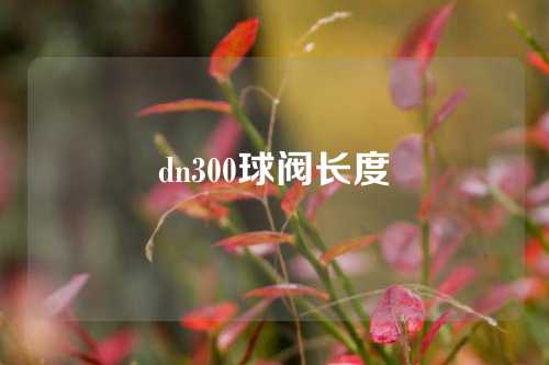 dn300球阀长度