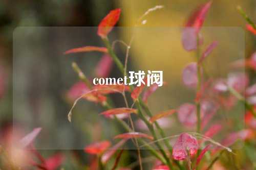 comet球阀