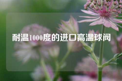 耐温1000度的进口高温球阀