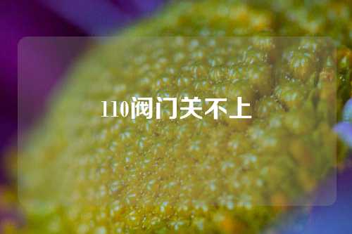 110阀门关不上