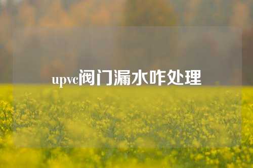 upvc阀门漏水咋处理