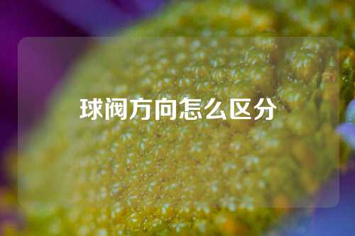 球阀方向怎么区分