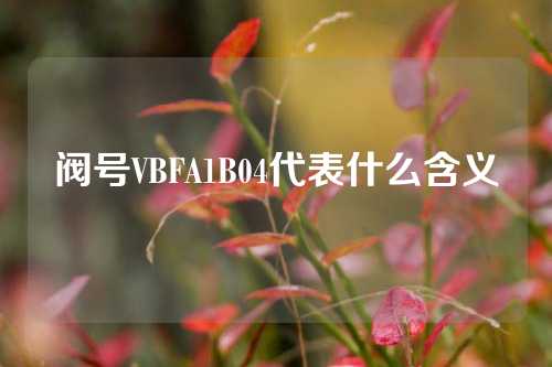 阀号VBFA1B04代表什么含义