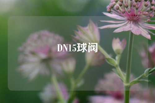 DN15球阀