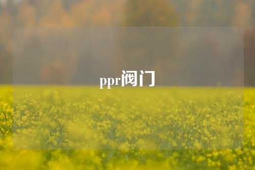 ppr阀门