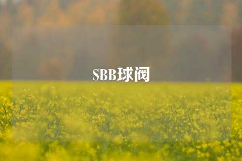 SBB球阀