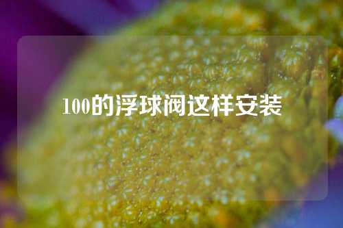 100的浮球阀这样安装