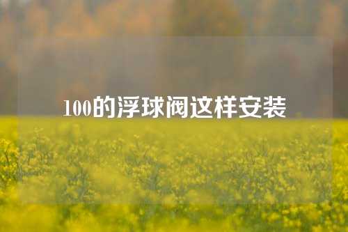 100的浮球阀这样安装