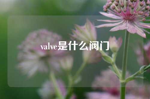 valve是什么阀门