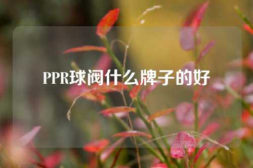 PPR球阀什么牌子的好