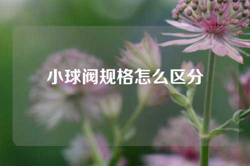 小球阀规格怎么区分