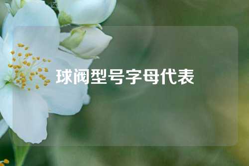 球阀型号字母代表