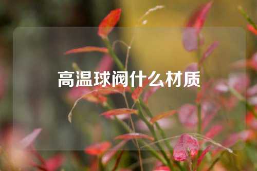 高温球阀什么材质