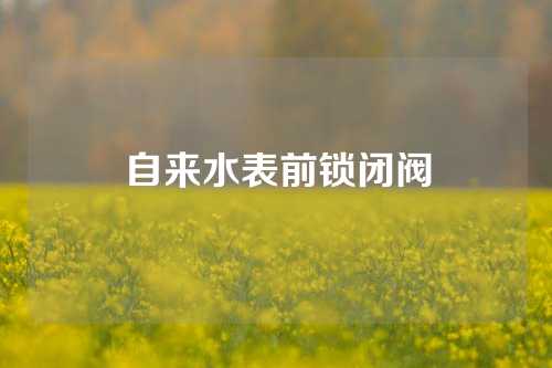 自来水表前锁闭阀