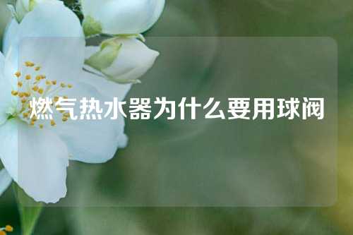 燃气热水器为什么要用球阀