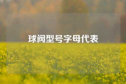 球阀型号字母代表