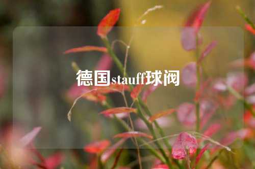 德国stauff球阀