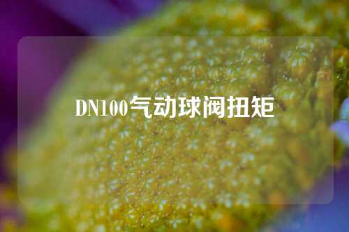 DN100气动球阀扭矩