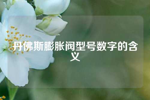 丹佛斯膨胀阀型号数字的含义