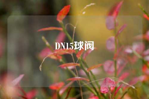 DN15球阀