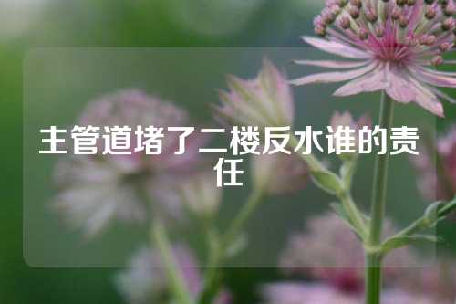 主管道堵了二楼反水谁的责任