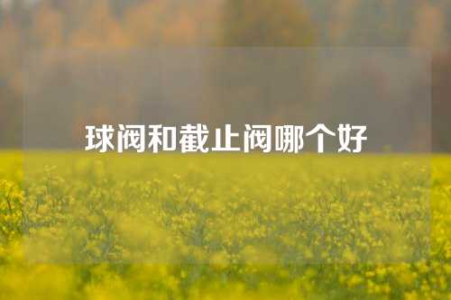 球阀和截止阀哪个好