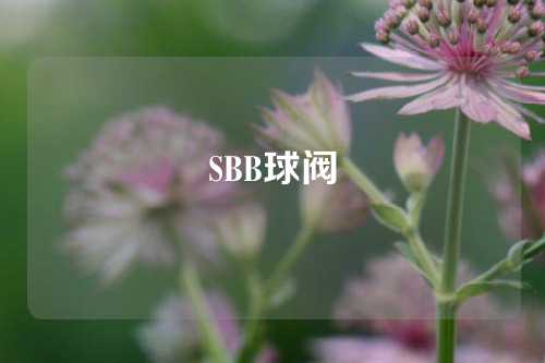 SBB球阀