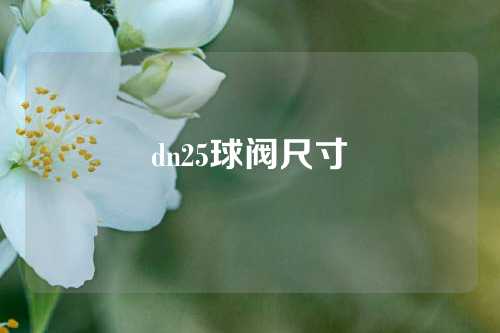 dn25球阀尺寸