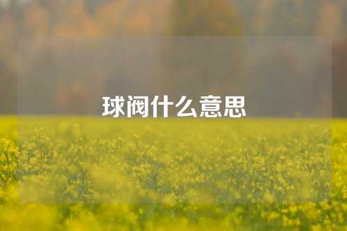 球阀什么意思