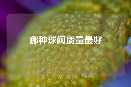 哪种球阀质量最好