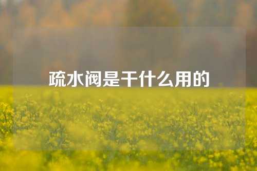 疏水阀是干什么用的