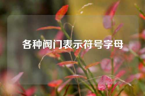 各种阀门表示符号字母