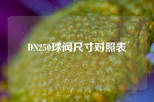 DN250球阀尺寸对照表