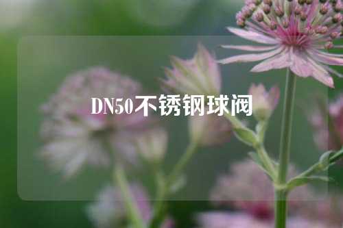 DN50不锈钢球阀