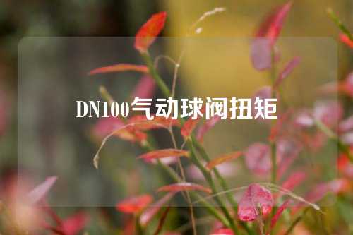 DN100气动球阀扭矩