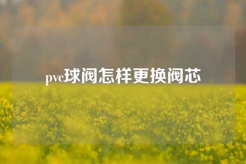 pvc球阀怎样更换阀芯