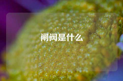 闸阀是什么