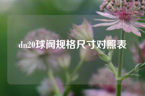 dn20球阀规格尺寸对照表