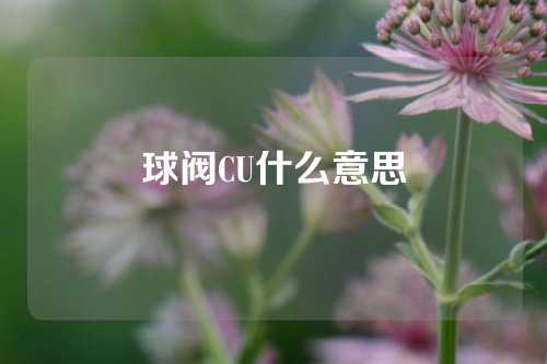 球阀CU什么意思