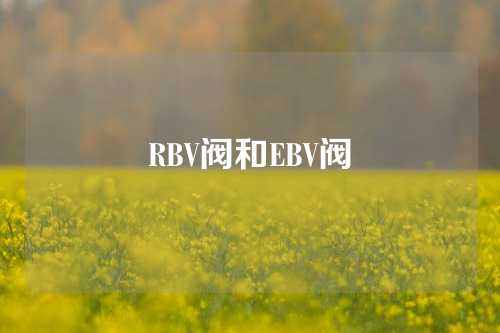 RBV阀和EBV阀