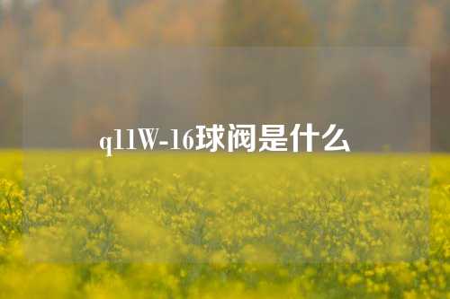 q11W-16球阀是什么