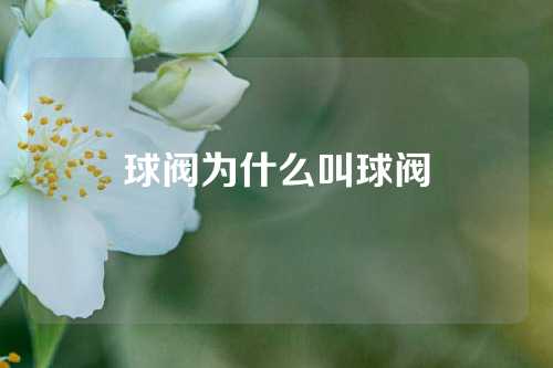 球阀为什么叫球阀