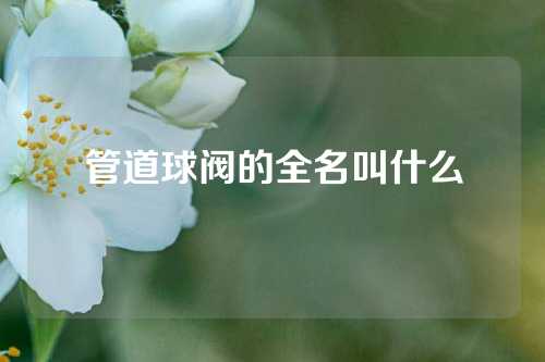 管道球阀的全名叫什么