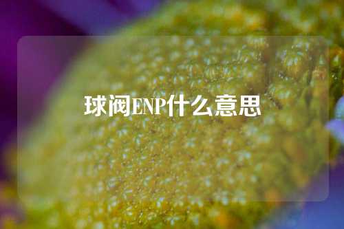 球阀ENP什么意思