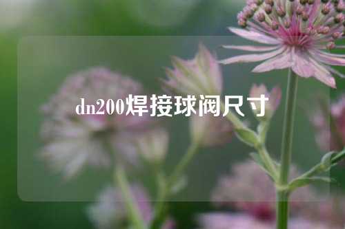 dn200焊接球阀尺寸