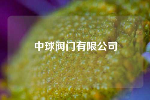 中球阀门有限公司