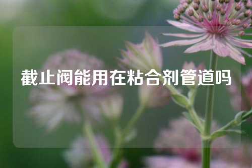 截止阀能用在粘合剂管道吗