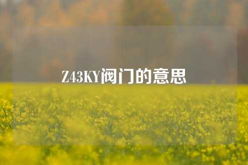 Z43KY阀门的意思