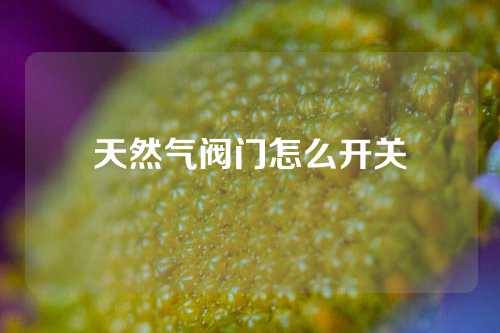 天然气阀门怎么开关